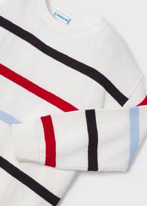 Printed Sustainable Cotton Sweater Boy
